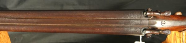 GR79-0422-4061, Percussion Shotgun, appears 12 gauge with 29 1/2 inch barrel. BUY NOW - Image 13