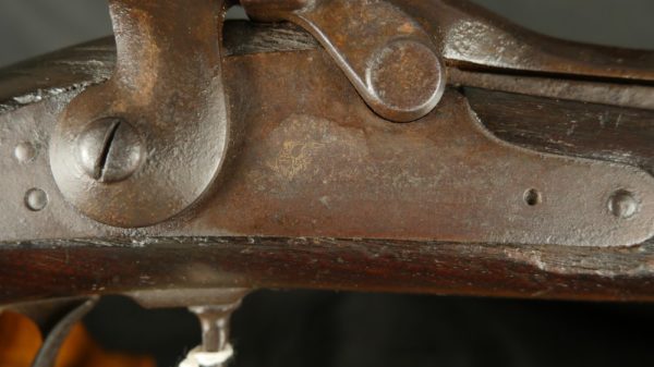 GR79-0422-4112, Springfield TD 45/70 Military Rifle in 1884. - Image 8