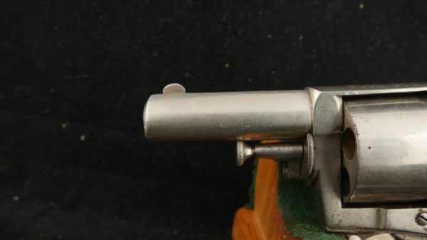 079-0822-7939, THE BRITISH BULL DOG. BUY NOW - Image 18