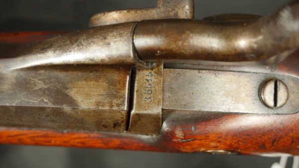 079-1122-7998, Springfield TD 45/70 M-1884 Military Rifle. BLOWOUT - Image 5