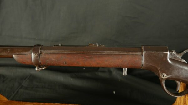 079-0723-8443, Ballard Sporting Rifle in .46 RF. BLOWOUT - Image 8