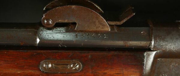 GR-1123-4903, Swiss Vetterli 10.35×47mm cal. RF. BUY NOW - Image 4