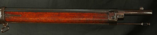 GR-1123-4903, Swiss Vetterli 10.35×47mm cal. RF. BUY NOW - Image 17