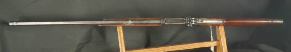 079-1223-8613, Winchester M-1886 Octagon Barrel Rifle in 38-56 WCF. BUY NOW - Image 2