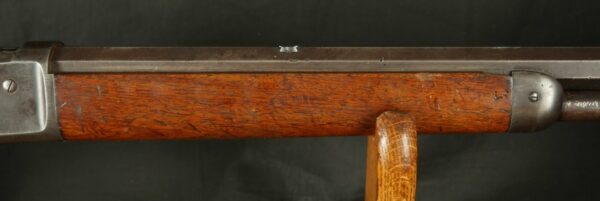 079-1223-8613, Winchester M-1886 Octagon Barrel Rifle in 38-56 WCF. BUY NOW - Image 18