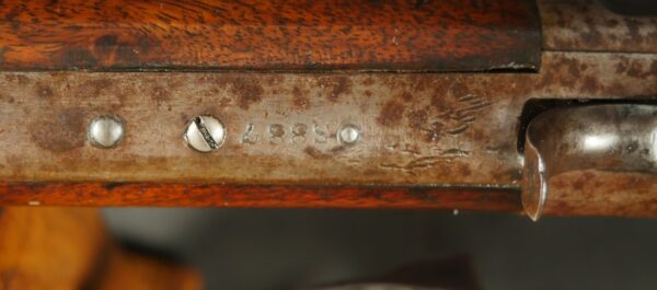 079-0425-0202, Whitney-Kennedy, marked Whitneyville, Lever Action 40-60. BUY NOW - Image 24